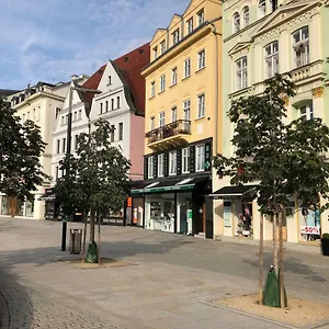 Orchidej U Vřídla Apartmán Karlovy Vary